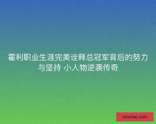 霍利职业生涯完美诠释总冠军背后的努力与坚持 小人物逆袭传奇