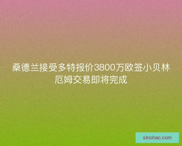 桑德兰接受多特报价3800万欧签小贝林厄姆交易即将完成