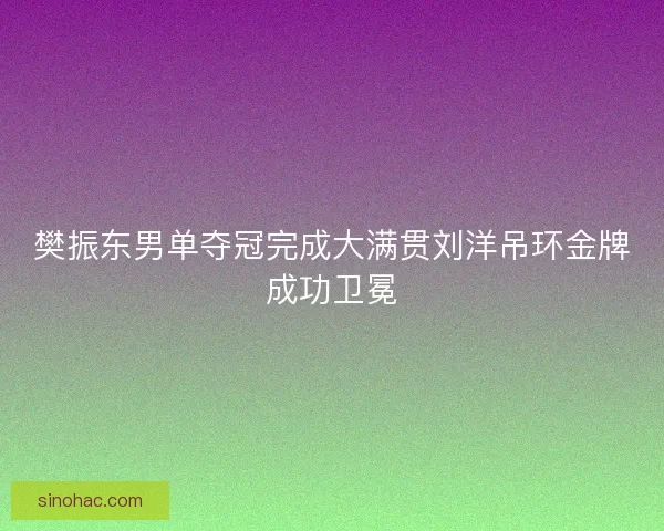 樊振东男单夺冠完成大满贯刘洋吊环金牌成功卫冕